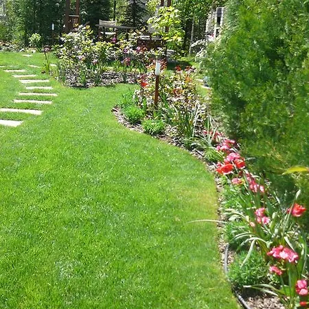 Apartment Tulips *