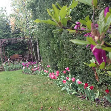 Apartmán Tulips *